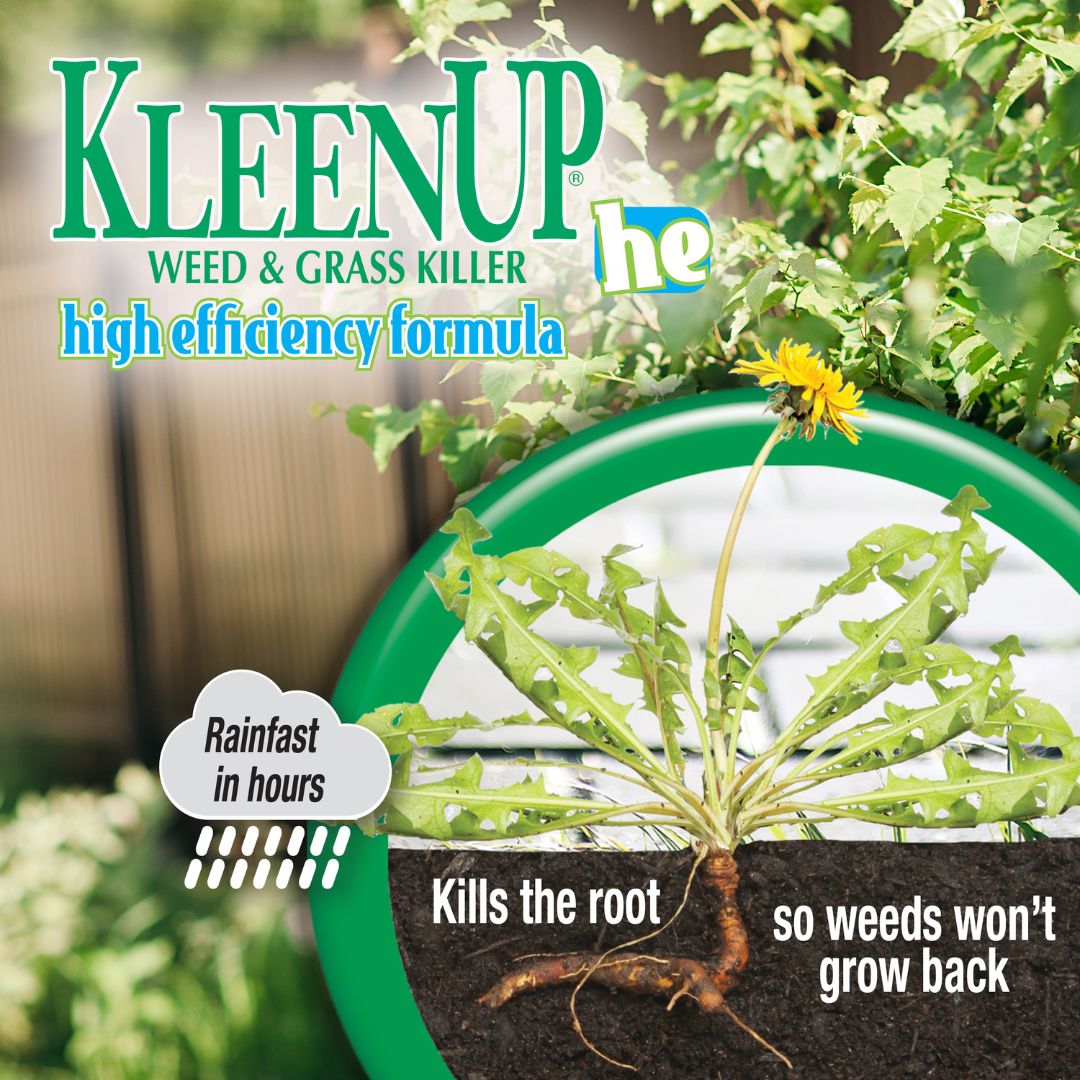 KleenUp High Efficiency Weed & Grass Killer Spray- Bonide – 1 Gal